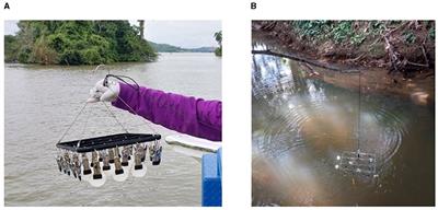 Are passive collectors effective samplers of microbes in natural aquatic systems?